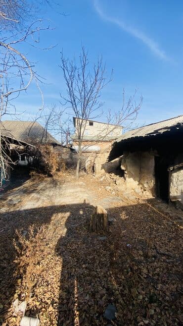арча бешик продажа домов: 4 соток, Бизнес үчүн, Кызыл китеп, Техпаспорт, Сатып алуу-сатуу келишими — 8