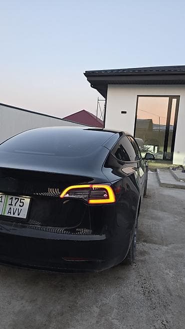 Tesla: Tesla Model 3: 2019 г., Автомат, Электромобиль, Седан — 4