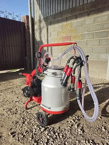 апарат дойный: Продаю в идеальном состоянии турецкий доильный аппарат для — 2