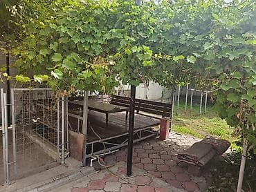 кара балта аренда: 250 м², 8 комнат — 4