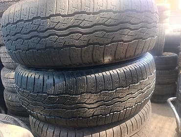 65 style: Шины 225 / 65 / R 17, Лето, Б/у, Пара, Внедорожные (АТ/МТ), Bridgestone — 1