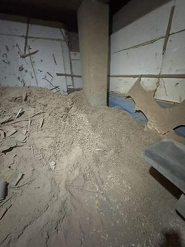 чистка подвалов: Уборка помещений, | Уборка после ремонта, | Подвал, погреб — 2