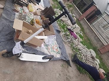 Самокат, Городской