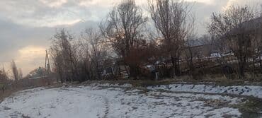 покупаю дом: 8 соток, Для сельского хозяйства, Красная книга — 8