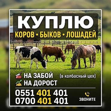 Колбаса цехи : Башка а/ч жаныбарлары, | Союлган
