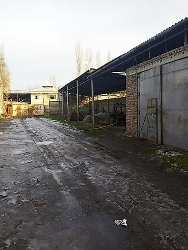 Продается производственная база с фермой свинарником