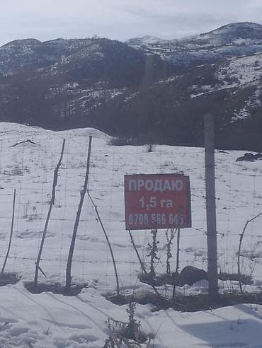 квартира с участком: 150 соток, Для бизнеса, Красная книга — 9