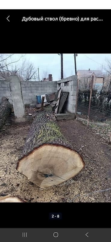 колю дрова: Терек сатып алабыз карагач дуб серебряк топол — 6