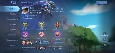 чесы: Игровой аккаунт Mobile Legends: Bang Bang Основное: - Сервер/регион — 1