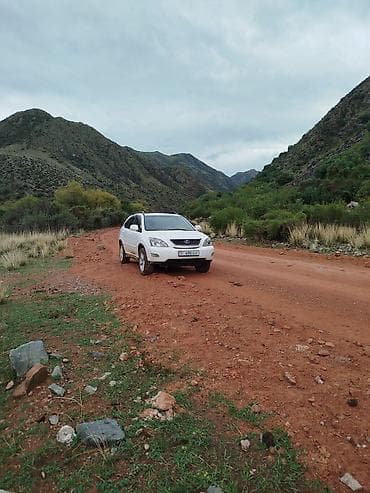 highlander 2012: Lexus RX: 2004 г., 3.3 л, Кроссовер — 2