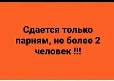 купить квартиру в центре: 1 комната, Риэлтор, Без подселения, С мебелью частично — 1