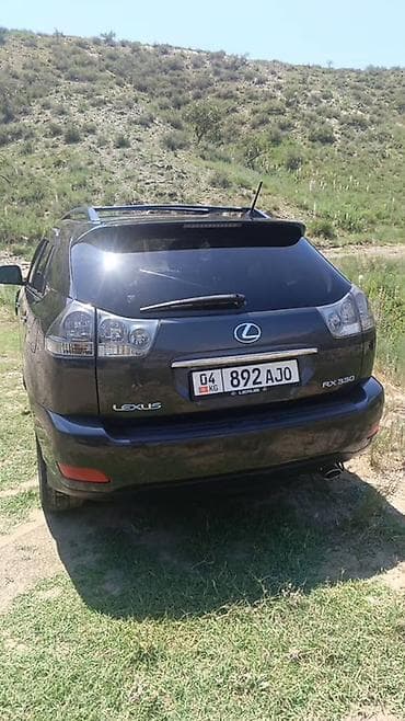Продажа авто: Lexus RX: 2005 г., 3.3 л, Автомат, Газ, Внедорожник — 3
