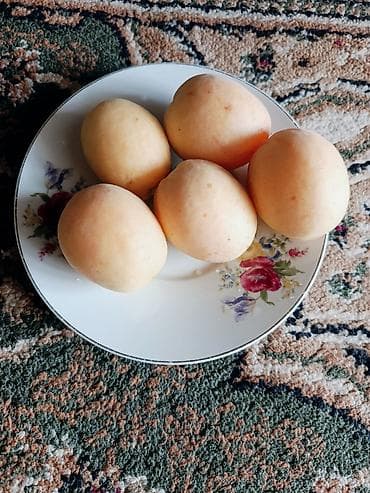 Абрикосы: Продаю Каролевский 🍊 Сочный и сладкий, АБРИКОС размер как яица,Я сама — 6