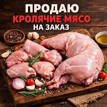 хорек купить бишкек: На продаже КРОЛИКИ всех пород и возрастом розница и оптом по самым — 6