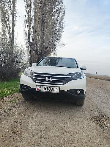 Honda CR-V: 2014 г., 2 л, Автомат, Бензин, Кроссовер