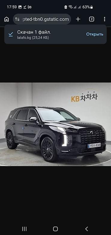 shadow line: Hyundai Palisade: 2021 г., Кроссовер — 1