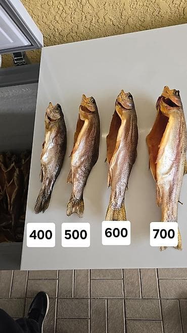 фасовка меда: Копчёная рыба форель (цельная, потрошёная, раскрытая «книжкой») — 1