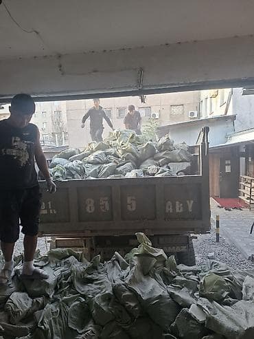 Отделочные работы: Снос стен, Разбор полов, Снятие потолков | Гипсокартонная стена, Снос перегородки, Снятие старой штукатурки | Зачистка от старых обоев, Сбивка старой штукатурки, Снятие извести | Демонтаж ламината, Демонтаж паркета, Демонтаж линолеума | Крыша из шифера, Металлочерепичная кровля, Мягкая кровля Больше 6 лет опыта — 2