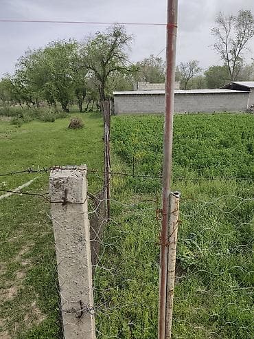 уча: 5 соток, Красная книга — 7