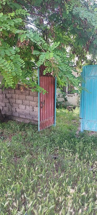 питомник розы: Дом с участком в зелёном саду. Село Туз, Иссык Атинский район — 2