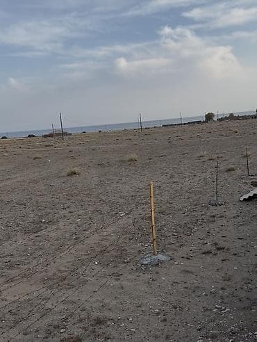 барачные дома: 6 соток, Для бизнеса, Красная книга — 1