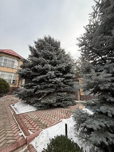 чуй алмаатинка: 🏡 Срочно Продается участок с Домом в центре города! 2-линия 🔥 📍 — 1