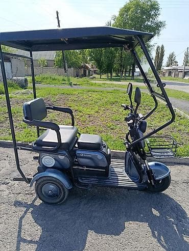 скутер вод: Электрический трёхколёсный скутер с крышей и ветровым стеклом — 1