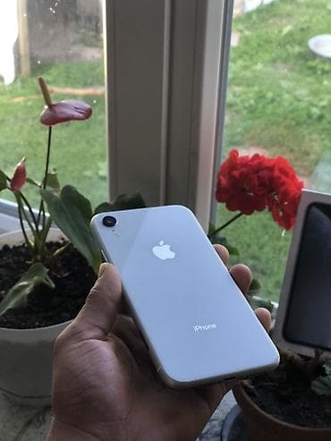airpods pro цена бишкек не оригинал: IPhone Xr, 64 ГБ, Ак, Куту — 1
