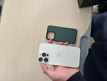 IPhone 13 Pro, Серебристый, Чехол