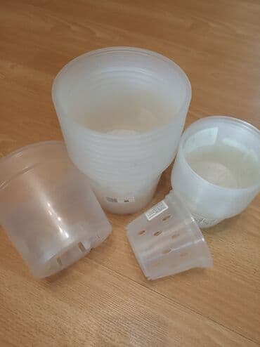 орхидеи в горшке купить с доставкой: Продаю горшки для орхидей, новые. Большие 1,4 л -80 с Маленькие 11*8 — 1