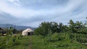 купить дом сосновка: Дом, 80 м², 4 комнаты, Собственник, Старый ремонт — 11