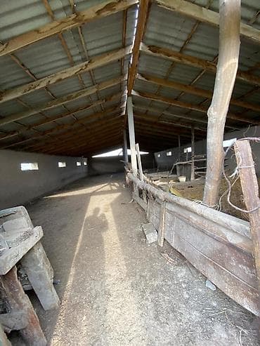 сарай купить: Продаю Сарай размер сарайа 10×20!!! Участок 5 соток Есть варианты на — 3