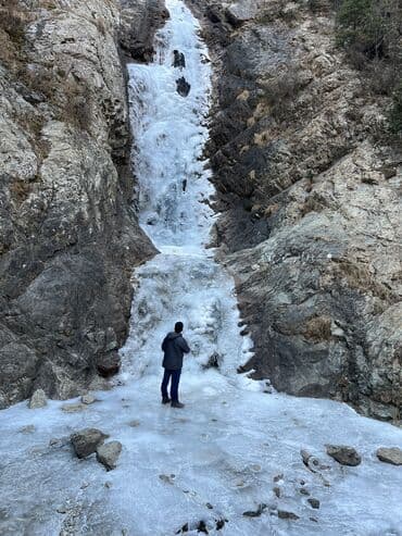 домкрат на степ: По региону, Аэропорт, По городу Такси, легковое авто | 5 мест — 6