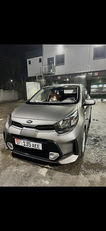 графика: Kia Morning: 2020 г., 1 л, Автомат, Бензин, Хэтчбэк — 4