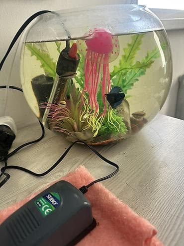 продажа аквариумных рыбок: Аквариумный комплект для дома/офиса Состав: - Стеклянный — 2