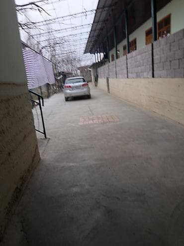 продаю новопавловка: СУРАНЧ ЖАКШЫЛАБ ОКУГУЛА. ГУЛИСТАН АИ́ЫЛЫ. ОРЕНТИР ИНТЫМАКТЫ — 10