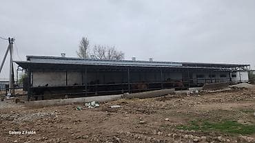 купить контейнер 6 метровый: Сварка | Навесы Гарантия, Доставка, Монтаж — 8