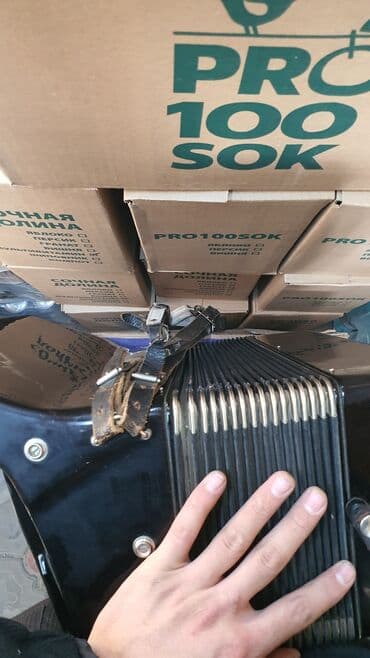 Аккордеондор: Аккордеон Weltmeister (ГДР) - Модель: Weltmeister (логотип и шильдик — 7