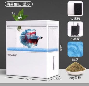 купить креветок для аквариума: 🐠 Настольный мини-аквариум с рыбкой Продаём в связи с переездом 🏡 📏 — 4