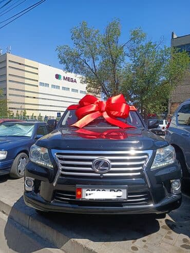 Иш-чараларды уюштуруу | Гель шарлары, Аниматорлор, Иш-чараларды жасалгалоо