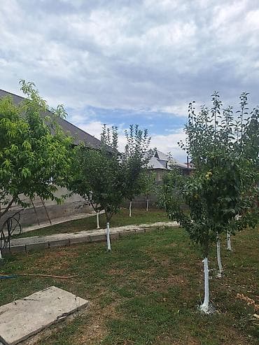 Продаётся дом с участком и садом. - Кирпичный дом с металлическими — 4