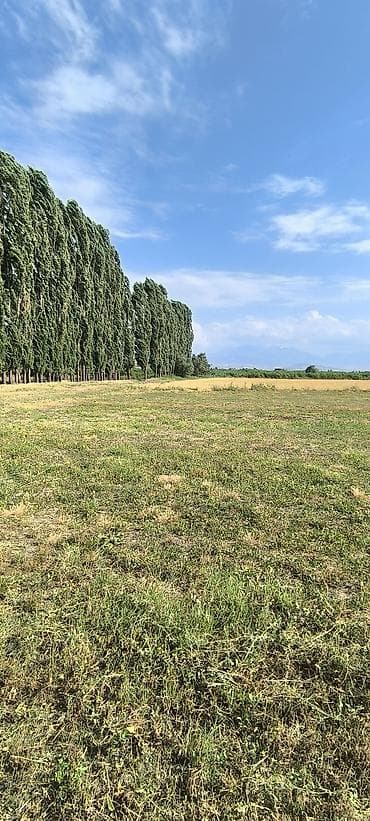 100 соток, Для сельского хозяйства, Договор купли-продажи