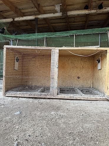 инкубатор для яиц: Продаю брудер или клетка — 1