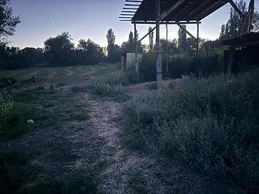 🏡 Продаётся дом в селе Степное!! 📍 Участок с домом — 49 соток 🌾 — 9
