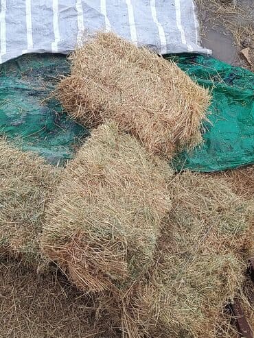 синтепон цена за кг бишкек: Солома в тюках - Прессованные тюки соломы, удобные для хранения и — 1