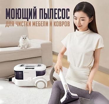 Пылесос, Моющий