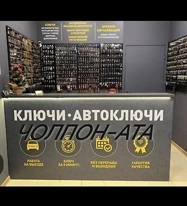 купить баян: МЫ НА ИК АВАРИЙНОЕ ВСКРЫТИЕ АВТО ЗАМКОВ Изготовление и — 1