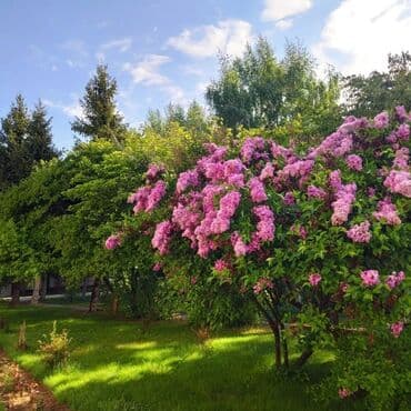 гостевые дома в бостери: Коттедж, 35/3, 4-комнатный ЦО Радуга West, Кош-Кол, Детская площадка, Парковка, стоянка, Охраняемая территория — 19