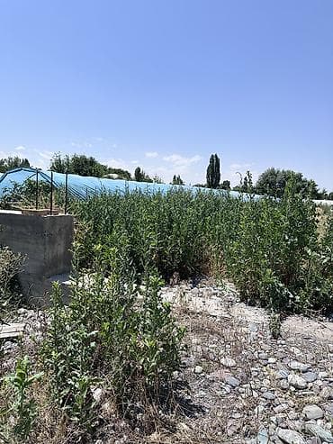 полья: 19 соток, Для строительства, Договор купли-продажи, Тех паспорт — 3