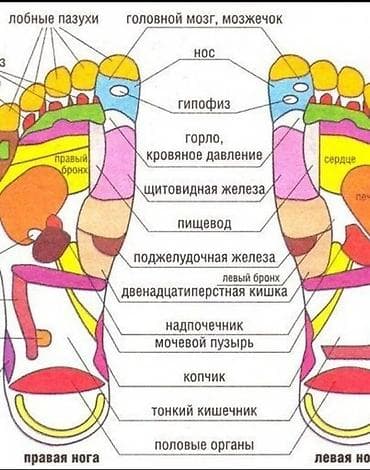 derma roller: Массажер Тапочки, Для стоп, Новый — 3